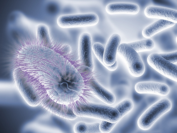 The significance of microbiota for general health